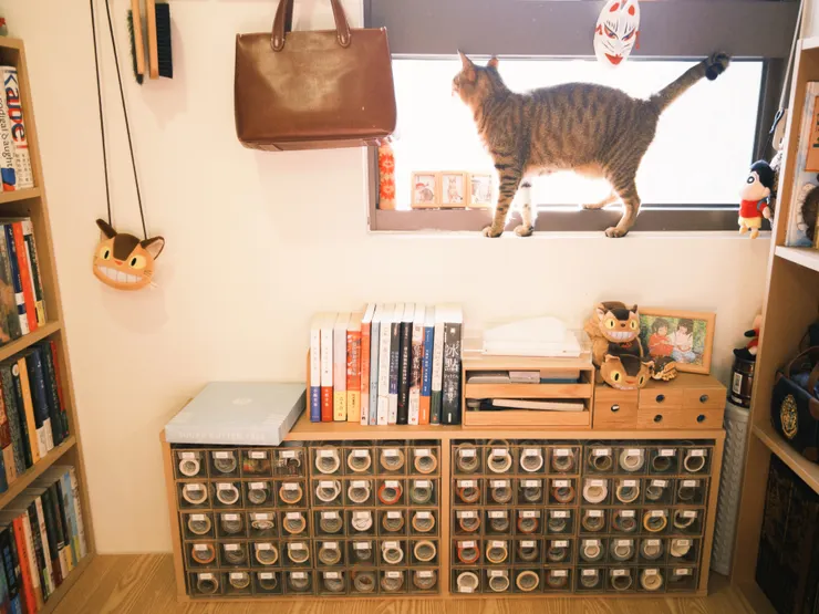 現在紙膠帶這樣擺