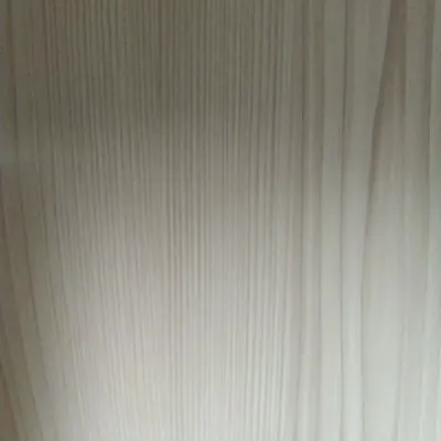 Burt Forster的沙龍