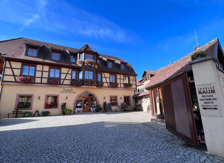 埃及桑，到處都是酒莊