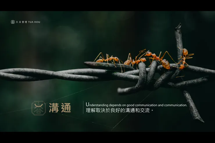 大禾商標六大價值-(U)溝通