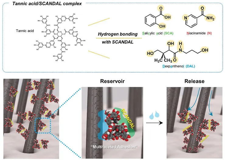 單寧酸-活性複合物作用示意圖（引用自原文 Figure 1）