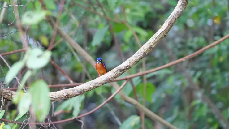 終於等到主角了！