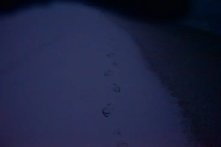 雪厚到走過幾乎不見痕跡