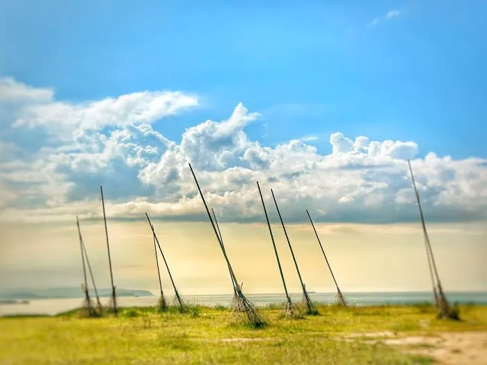 飛天掃帚我來了！