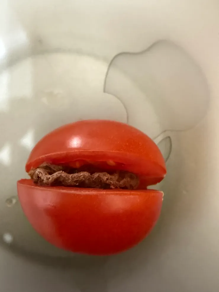 2026/01/09 下午茶