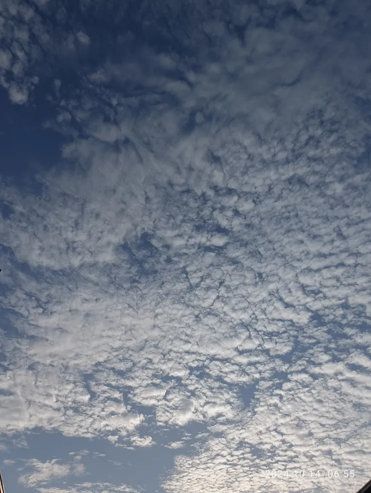 月如霜夢驚雲斷