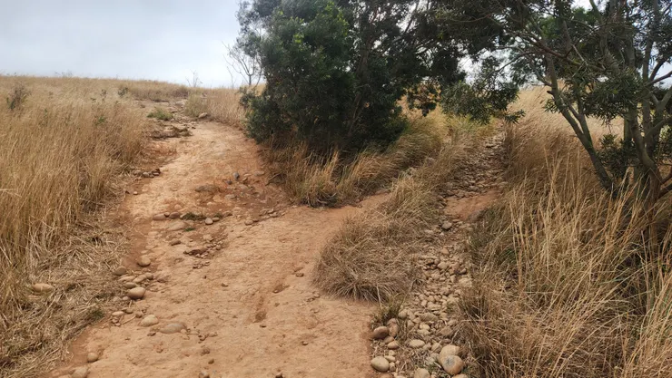 這裡下坡要很小心，有點危險，再加上有很多砂，車輪很容易抓不住而滑倒。