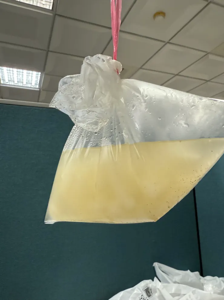 2026/02/10 菜頭湯