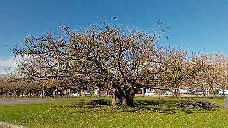 [宜蘭旅遊]宜蘭運動公園，運動設施機能完善、大面積、風景特佳