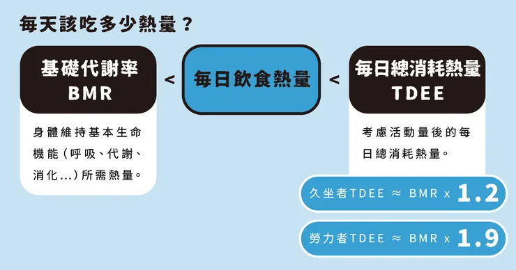 每日飲食熱量