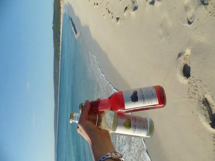 酒莊的純葡萄汁，當年10元澳幣/瓶，以下