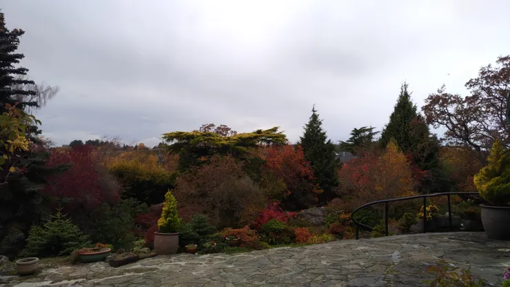 可惜那天天氣不佳，不然配上藍天，景色更豐富！