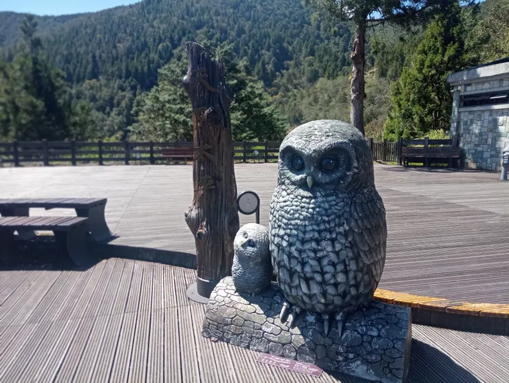 太平山莊服務站前方空地之地景