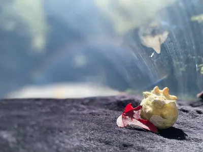 Bina 療域 • 聊癒的沙龍