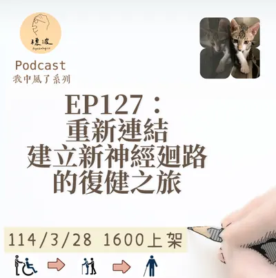 我家貓是我復健教練