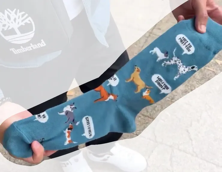 露餡的襪子本襪!