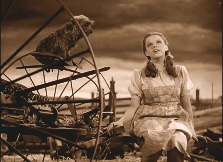 渴望夢幻國度的桃樂絲