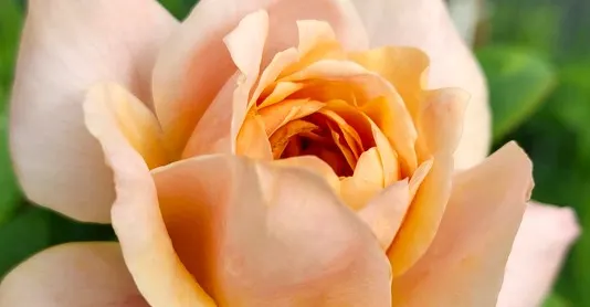 雨潤靜的文字花園