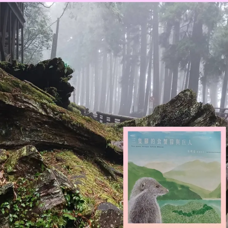 在一個不是春天也不是夏天不是秋天也不是冬天的季節……