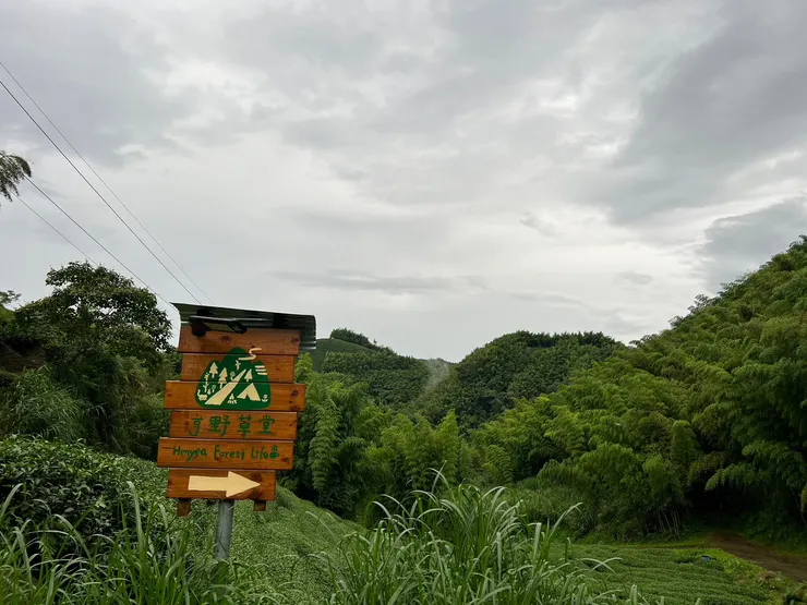 20230728拍攝-路口處