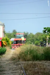 往烏樹林方向拍攝,差點以為有火車開來(7393)