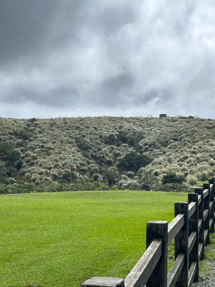 閃閃發亮的山間貝殼
