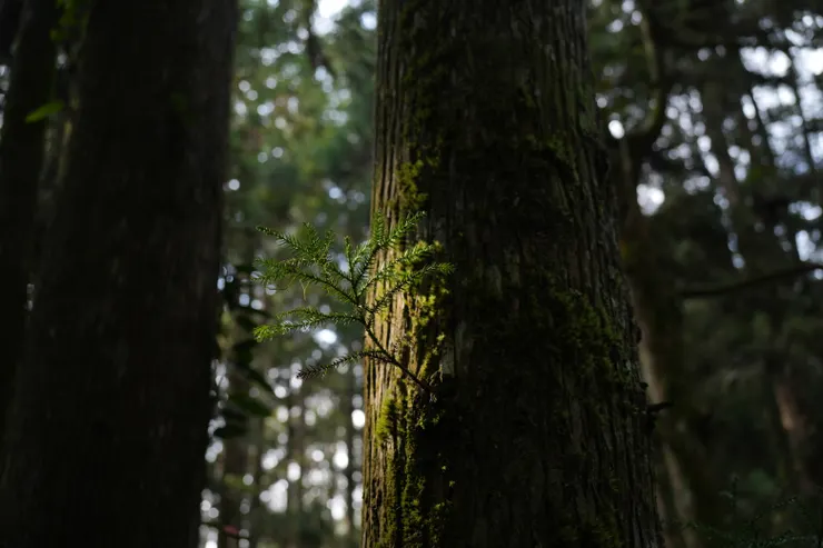 勇氣，是即便面對未知，仍然努力認真的活著