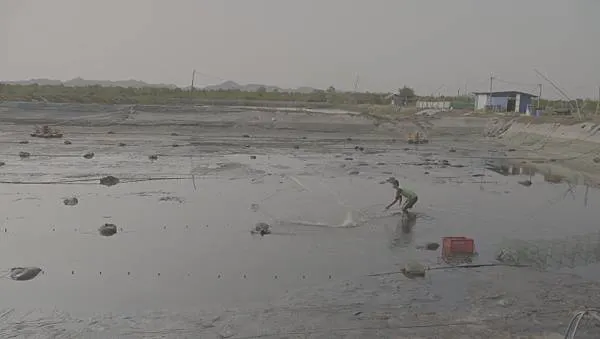 （《鑽石水族世界》電影劇照）