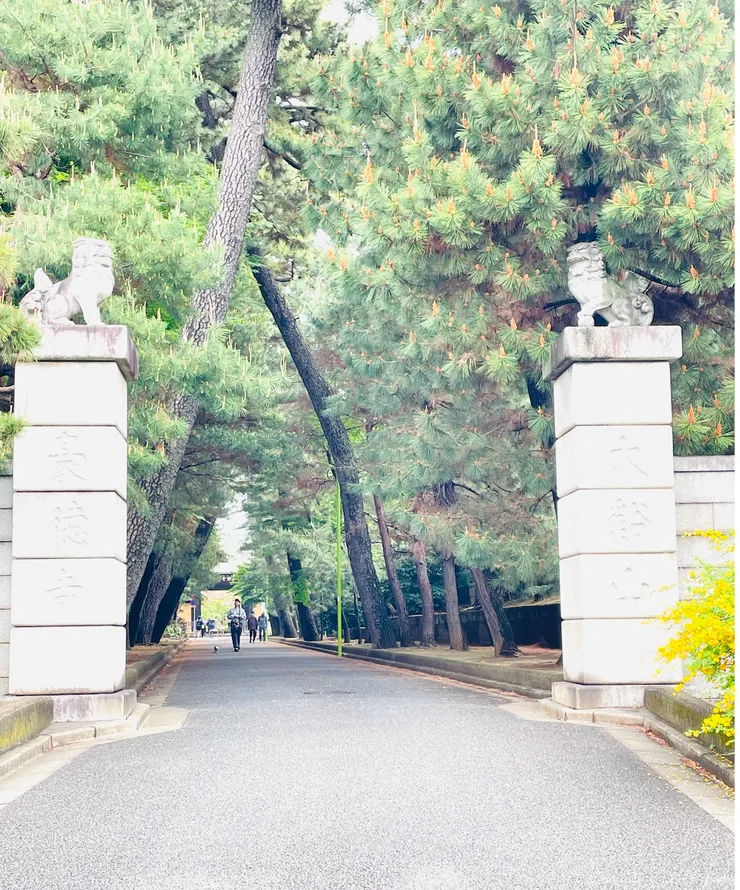 進入豪德寺之前，會先經過一段充滿綠意的樹林，讓人感到幽靜、悠閒之感。