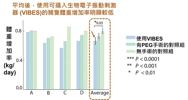 豬隻的體重增加率比較 [以文章內圖修改]。