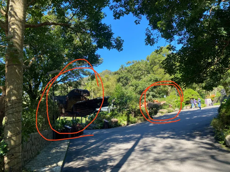 有看到恐龍藏在裡面嗎？