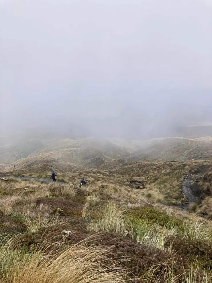 沿路是之字型的下山路，終於又看到綠色的植物