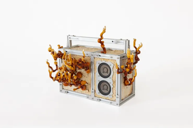 Boombox II 揚聲器，設計：10th Floor Studio 