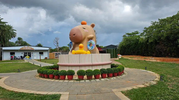 很多網紅都喜歡把橘子放在卡皮巴拉的頭上!