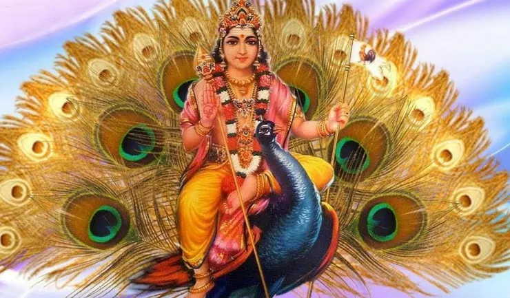 孔雀在印度教有神聖地位