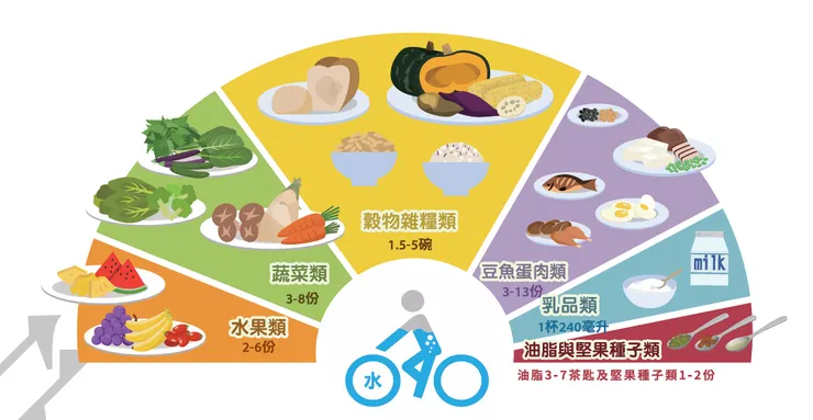新版每日飲食指南扇形圖