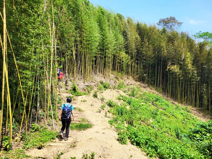 ▲出關古道十份崠段