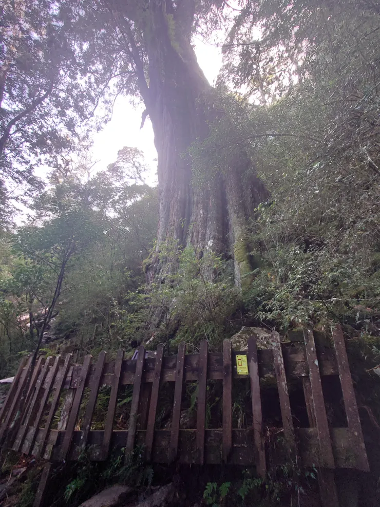 凌晨時分看不見你的高聳