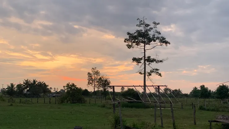 这是今天早上在教會外面用手机拍摄的日出