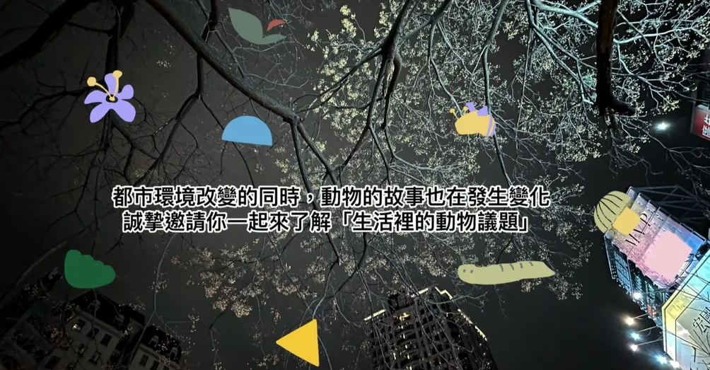 生活動議｜生活裡的動物議題