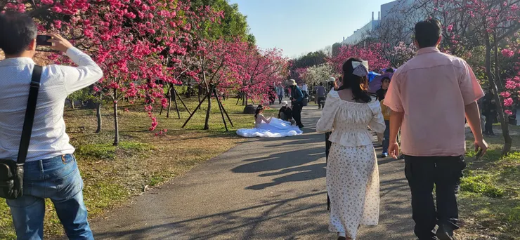 還有人來拍婚紗!!!