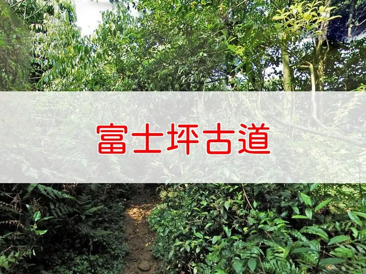 【新北】富士坪古道 | 全長里程：單程3.6公里 | 難易度：低至中