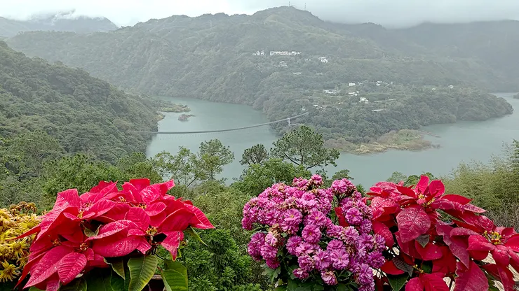應時花卉點綴增添更多色彩