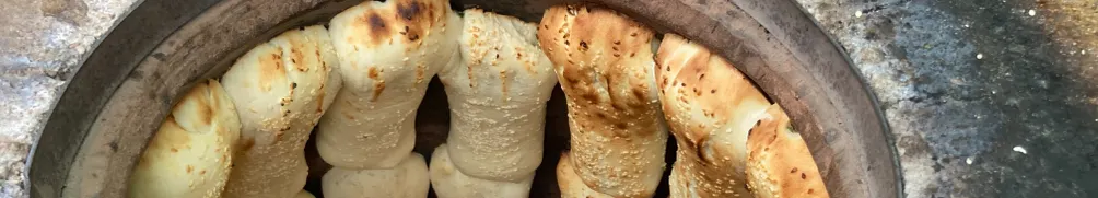 好野遊賞台灣的沙龍