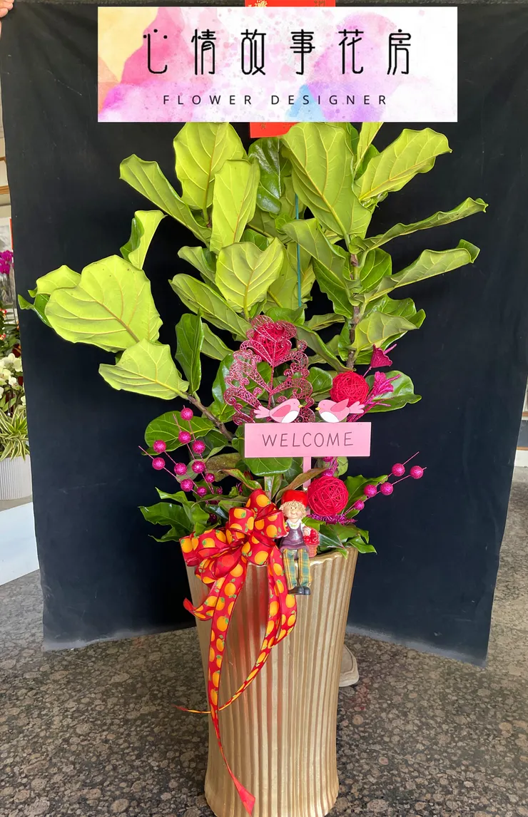 台南安南區花店【心情故事花房】：結合強健植栽的多樣化組合盆栽，為室內環境增添活力、美感與長久持續的健康生長