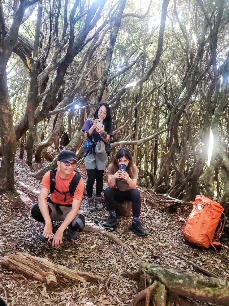 你們閃閃發亮中!!✨✨✨