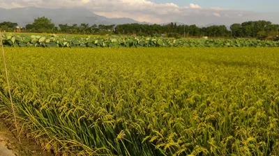 禾氣好財的沙龍