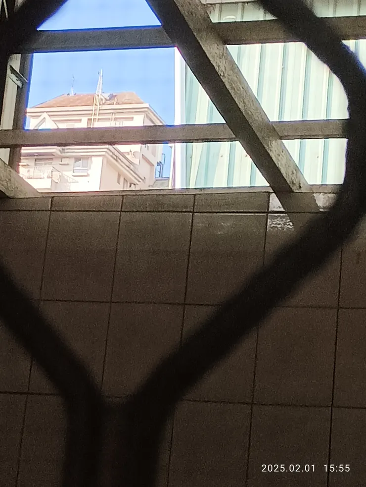 書房一角的湛藍如是龐大重要