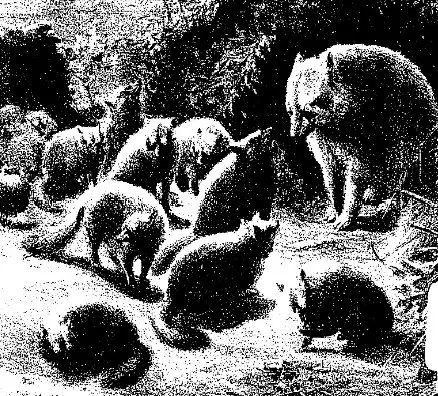 〈松山騷動八百八狸物語〉大名御家騷動常伴有妖怪物語