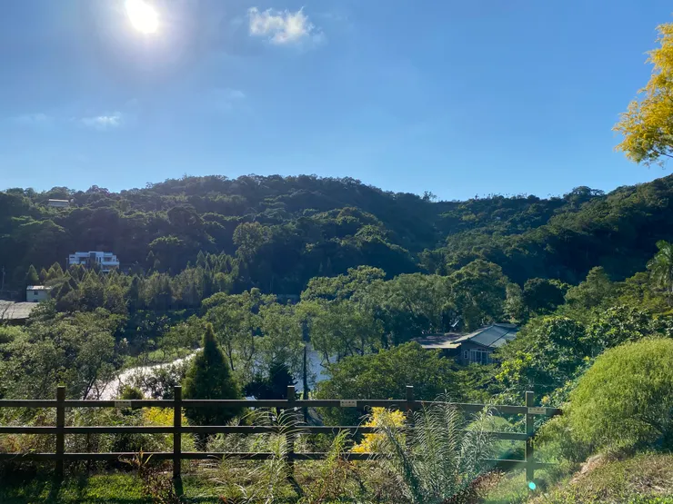 白頷樹蛙區看出去的景色，但相對很曬